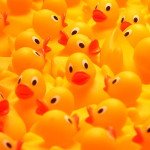 rubber duckies