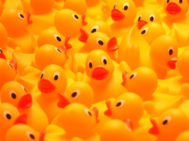 Rubber Ducks as Baby Shower and Birthday Party Favors