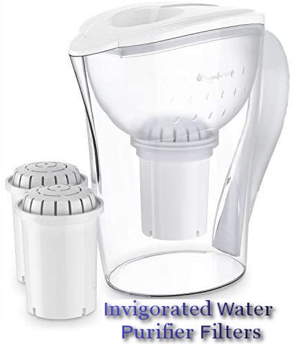 Invigorated Water Filter Replacement