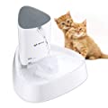 isYoung LED Pet Water Fountain