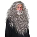 Long Gray Wizard Wig
