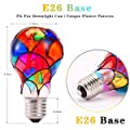 I-Shunfa Edison Stained Glass LED Light Bulb, Heatless E26 A19