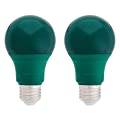 Amazon Basics Green, 2-Pack A19 LED Light Bulb