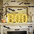 Halloween LED Boo Sign+3D Bat Decorations