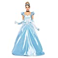 cinderella costume adult women