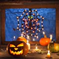 Lighted Cobweb Halloween Window Silhouette Decoration