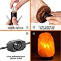 Shineled 5 Pack 25Watt Himalayan Salt Lamp Bulbs E12 Socket