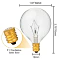 8 Pack 40 Watt G50 Light Bulbs for Full-Size Scentsy Warmers