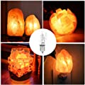 Betus Replacement 25 Watt Dimmable E12 Socket Incandescent Candelabra Salt Lamp Bulb
