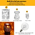 G50 25 Watt Light Bulbs for Full Size Scentsy Warmers