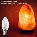 15 Watt Himalayan Salt Lamp Bulbs