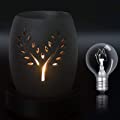 6 Pieces 20 Watt Bulbs G30 Globe with E12 Candelabra Base for Middle Size Warmers 