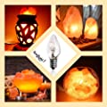 15 Watt Replacement Bulbs for Himalayan Salt Lamps & Baskets