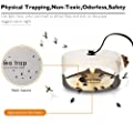 Flea Trap Refills 10 Packs, Sticky Dome Glue Board Replacement Pads from micnaron