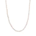 Freshwater Pearl Necklace