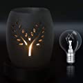 12 Pieces 20 Watt Bulbs Wax Warmer Bulbs Incandescent Clear Light Bulbs G30 Globe with E12 Candelabra Base