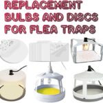 flea trap discs