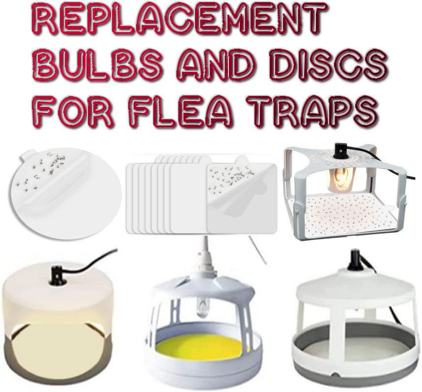 replacement bulbs and discs for flea traps
