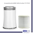 PUREBURG 2-Pack Replacement HEPA Filter Compatible with INTEY NY-BG55 