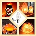 15 Watt Replacement Bulbs for Himalayan Salt Lamps & Baskets